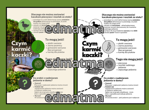 Plakat - Czym karmić kaczki? Do wykorzystania w szkole, domu, na osiedlu, w parku!!!