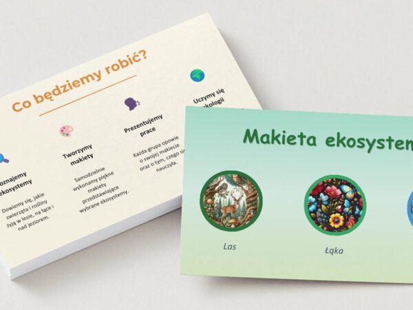 Makieta ekosystemu - lasu, łąki, jeziora
