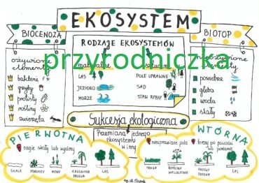 Klasa 8. Biologia. Ekosystem