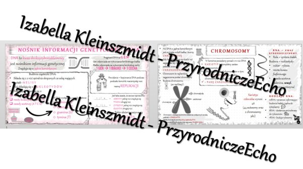 Sketchnotka - notatka „Nośnik informacji genetycznej – DNA” wykonana w power point do edycji. Biologia 8; „GENETYKA”