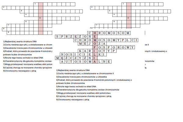 Logogryf na podsumowanie lekcji biologii w klasie 8 o dziedziczeniu płci u człowieka