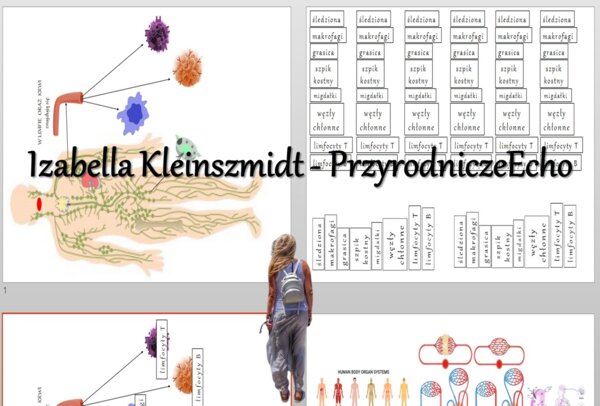 Materiał do zalaminowania/praca w grupach/puzzle/układanka. „Budowa i funkcjonowanie układu odpornościowego” w pdf. Biologia 7, dział „Układ krążenia”.