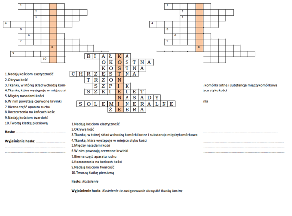 Podsumowanie lekcji biologii w klasie 7 - "Budowa kości"