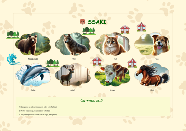 Plansze z gatunkami zwierząt (ssaki, ryby, ptaki, owady)