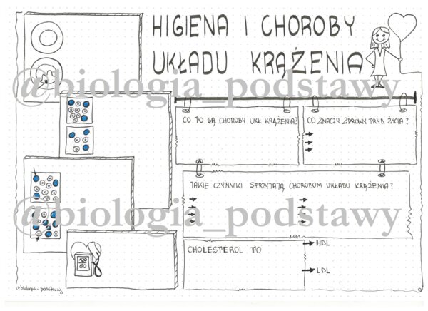 Klasa 7 - Higiena i choroby układu krążenia - LP