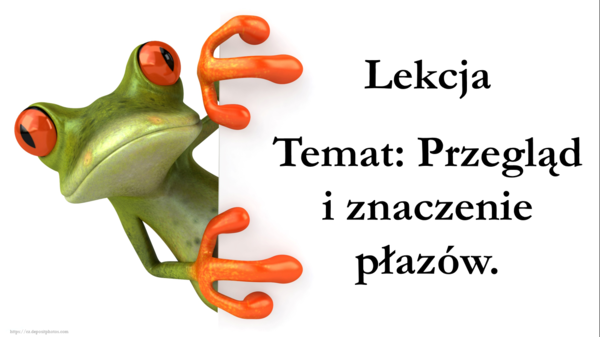 Klasa 6 - Płazy przegląd i znaczenie - prezentacja