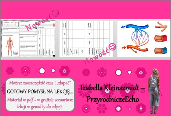 Pomysł na lekcję/karta pracy/stacje zadaniowe/materiał do lekcji do tematu „Budowa naczyń krwionośnych” w pdf. W gratisie niekomercyjny scenariusz lekcji/pomysł na lekcję w programie genial.ly do edycji. Biologia 7. Dział „Układ krwionośny”.
