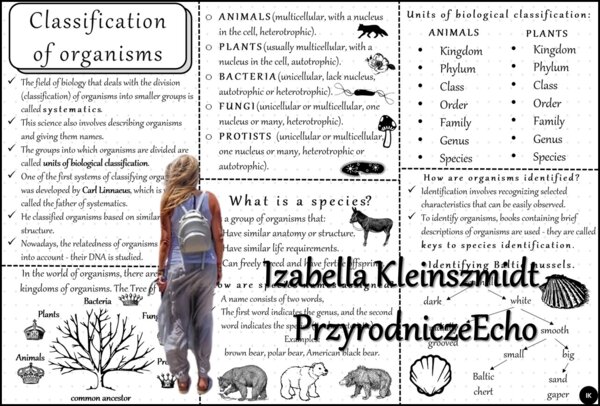 Sketchnotka – notatka/książeczka w języku angielskim „Klasyfikacja organizmów” wykonana w pdf. Geografia 5, „Wirusy, bakterie, protisty i grzyby”