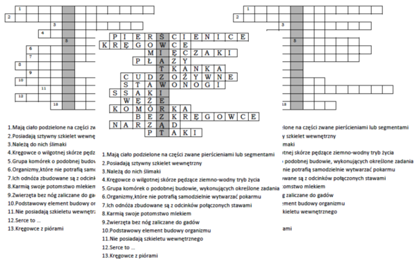 Logogryf na podsumowanie lekcji biologii w klasie 6 "W królestwie zwierząt"