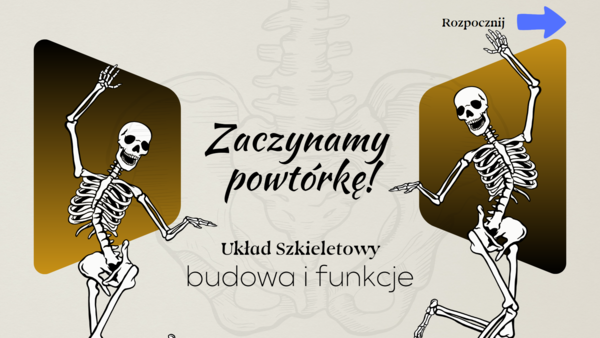 Układ szkieletowy – budowa i funkcje – ćwiczenia online na monitor interaktywny Biologia klasa 7/ Biologia zakres podstawowy// Interaktywna lekcja biologii