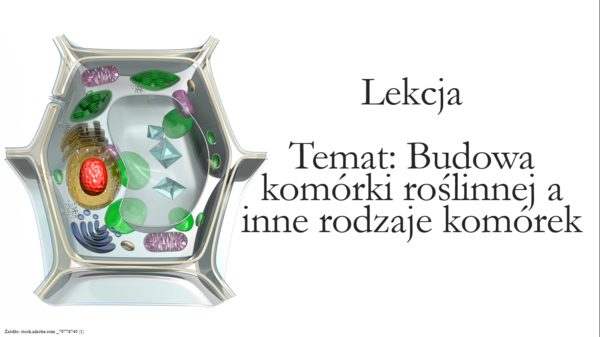 Budowa komórki roślinnej - klasa 5 - scenariusz