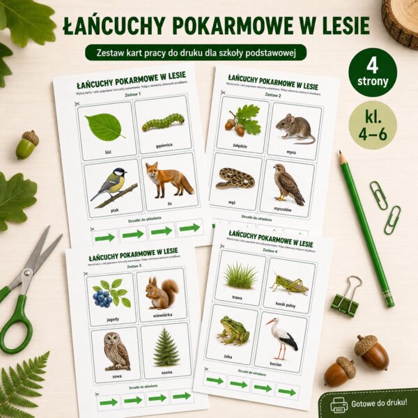 Łańcuchy pokarmowe w lesie