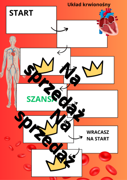 Gra planszowa Układ krwionośny