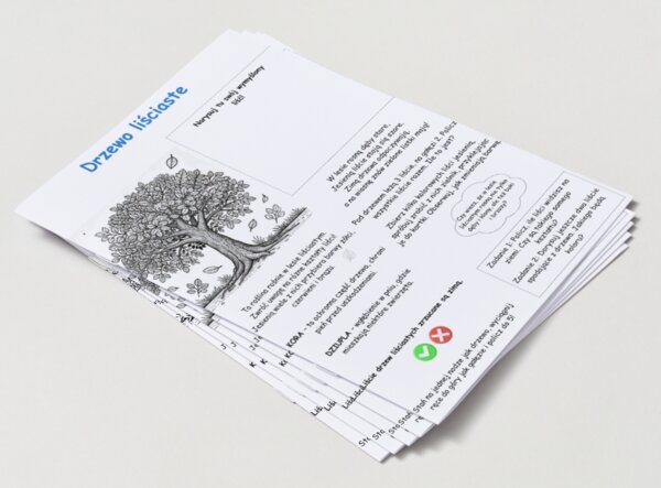 Kolorowanki. Zwierzęta. Rośliny. Drzewa. Las. Łąka. Podstawowe pojęcia (przyroda).