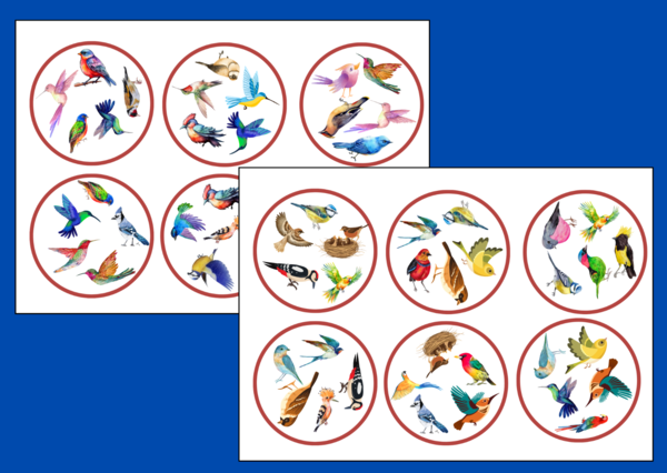 DZIEŃ PTAKÓW – wiosna - biblioteka – świetlica – przedszkole – DOOBLE – 36 szt.