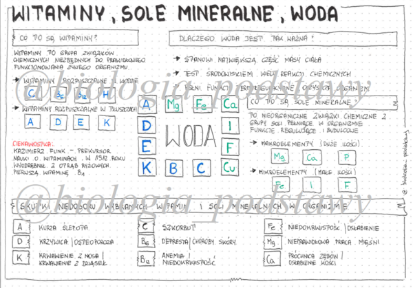 Klasa 7 -Witaminy sole mineralne woda - sketchnotka