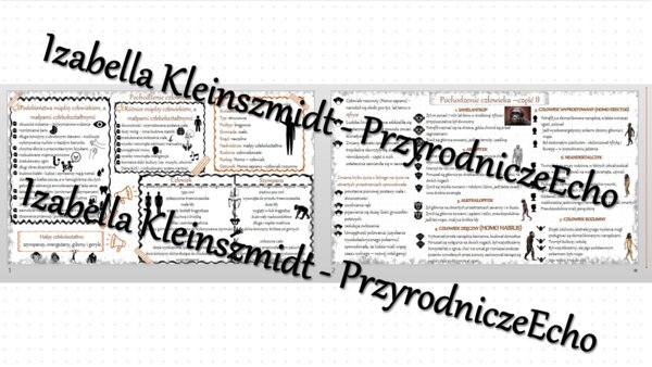 Sketchnotka - notatka „Pochodzenie człowieka” wykonana w power point do edycji. Biologia 8; „Ewolucja życia”