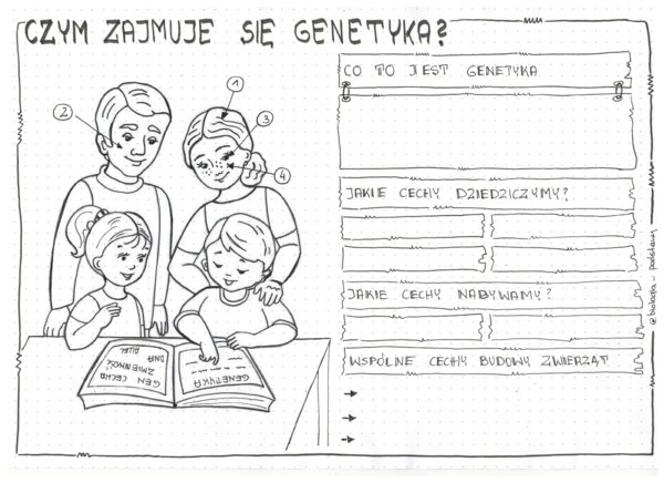 Klasa 8 - Czym zajmuje się genetyka? - sketchnotka