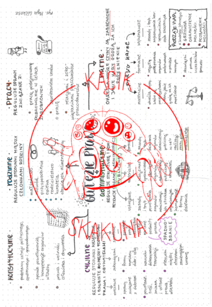 Gałęzie prawa - HISTORIA I TERAŹNIEJSZOŚĆ/WIEDZA O SPOŁECZEŃSTWIE