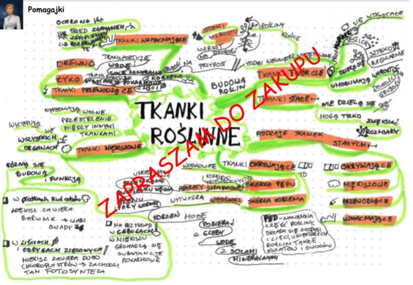 Tkanki roślinne biologia klasa 5 - mapa myśli