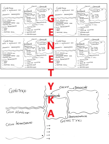GENETYKA - WSTĘP - WKLEJKA + SZYBKA SKETCHNOTKA DO UZUPEŁNIENIA