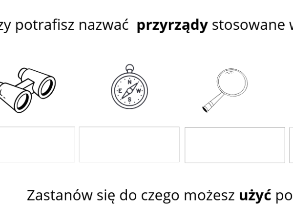 Poznawanie przyrody - karta pracy