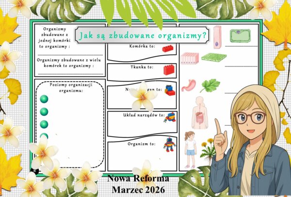 Karta pracy z przyrody do klasy 4 " Jak są zbudowane organizmy?". Przygotowana na podstawie podręcznika „Odkrywam przyrodę” wydawnictwa Nowa Era. Dział "Jak działają organizmy?".