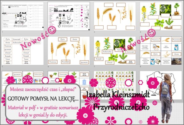 Pomysł na lekcję/karta pracy/stacje zadaniowe/notatki/ materiał do lekcji do tematu „Produkcja roślinna” w pdf. W gratisie niekomercyjny scenariusz lekcji/pomysł na lekcję w programie genial.ly do edycji. Geografia 7. Dział „Rolnictwo i przemysł Polski”.