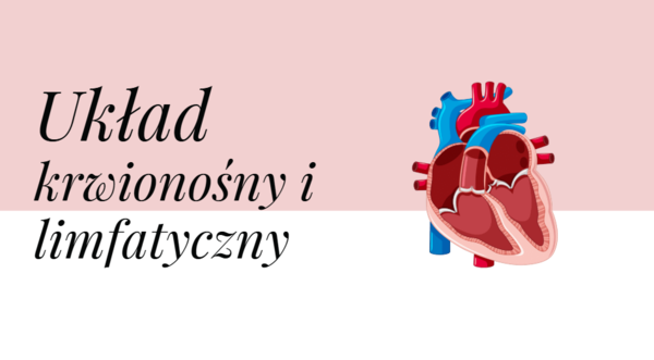 Układ krwionośny i limfatyczny KLASA 2 PODSTAWA BIOLOGIA
