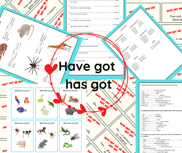 have got - czasownik "mieć"