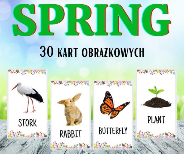 SPRING (wiosna) - karty obrazkowe