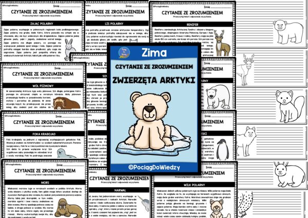 Czytanie ze zrozumieniem - Zwierzęta Arktyki