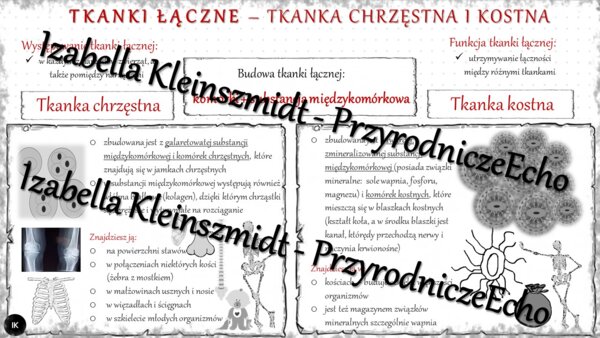 Sketchnotka - notatka „Tkanka łączna -tkanka chrzęstna i kostna” wykonana w power point do edycji. Biologia 6; „Świat zwierząt”