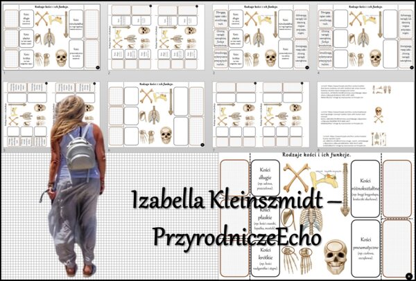 Notatka okienkowa/stacja zadaniowe/notatka interaktywna/notatka graficzna/karta pracy/sketchnotka „Rodzaje i funkcje kości”, „Aparat ruchu. Budowa szkieletu”. w pdf. Biologia 7, dział „Aparat ruchu”. Materiał wykonany na podstawie podręcznika z wydawnict