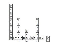 Krzyżówka- budowa komórek