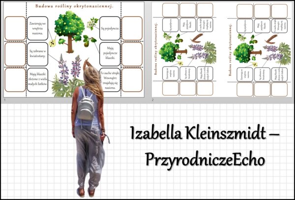 Notatka okienkowa „Budowa roślin okrytonasiennych”, „Okrytonasienne” w pdf. Biologia 5 dział „Różnorodność roślin”.