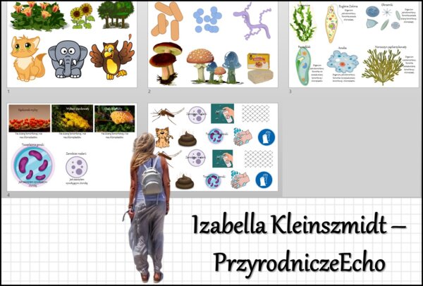 Materiał do zalaminowania/praca w grupach/stacje zadaniowe/układanka/puzzle „Różnorodność protistów” w pdf. Biologia 5, dział „Wirusy, bakterie, prostisty i grzyby”.
