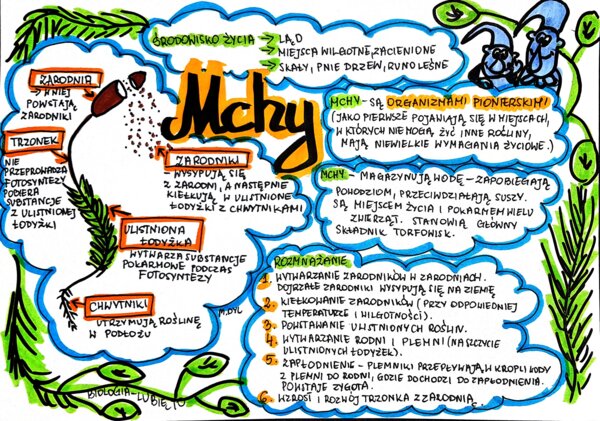 Klasa 5. Biologia. Mchy (karta pracy kolorowa)