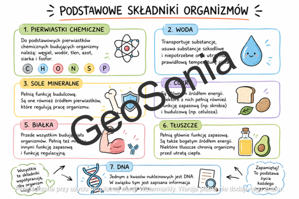 Składniki chemiczne organizmów  biologia klasa 5 sketchnotka
