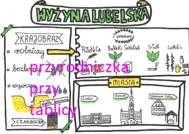 Wyżyna Lubelska