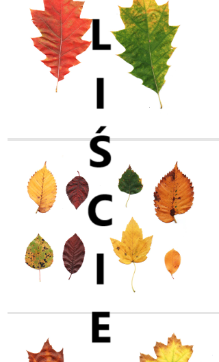 JESIENNE LIŚCIE - do gazetki, wklejki do zeszytu