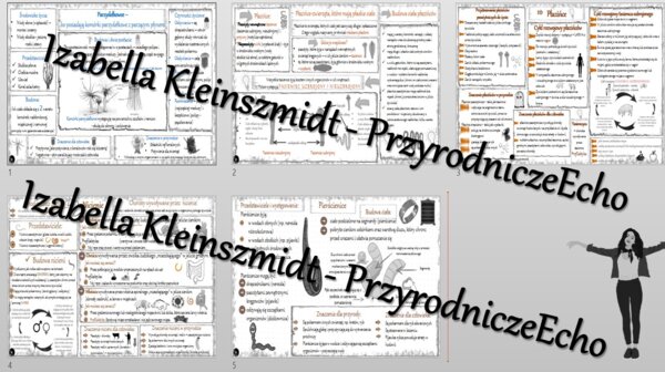 Zestaw sketchnotek – notatek do całego działu „Od parzydełkowców do pierścienic” wykonanych w power point do edycji. Biologia 6