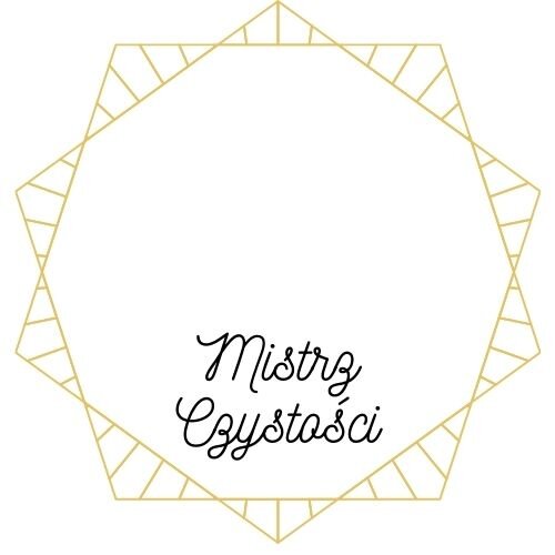 Medal Mistrz Świetlicy