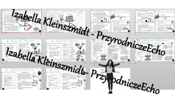 Mini zestaw do tematu „Tkanki roślinne” – 12 x sketchnotek i kart pracy + gratisowy link do prezentacji multimedialnej niekomercyjnej wykonanej w genial.ly do indywidualnego pobrania i użycia do celów niekomercyjnych. Biologia klasa 5, dział IV „Tkanki i