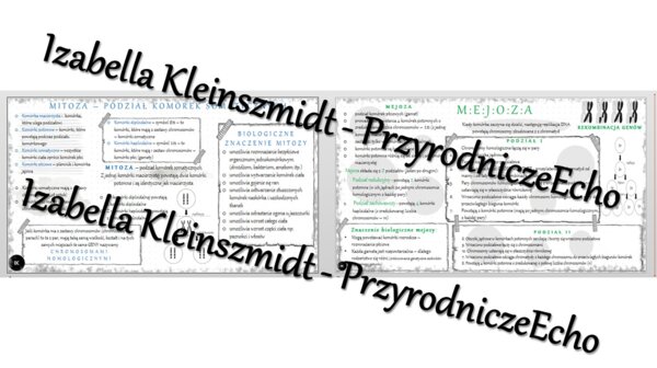 Sketchnotka - notatka „Podziały komórkowe – mitoza i mejoza” wykonana w power point do edycji. Biologia 8; „GENETYKA”