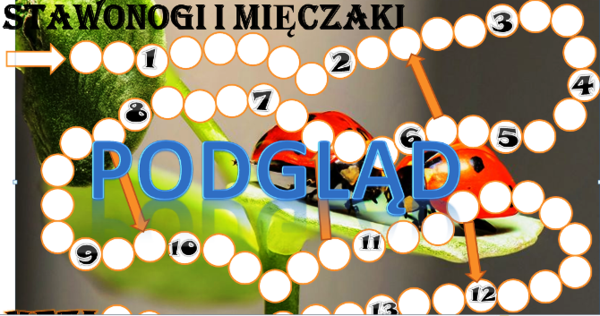 Stawonogi i mięczaki - gra planszowa