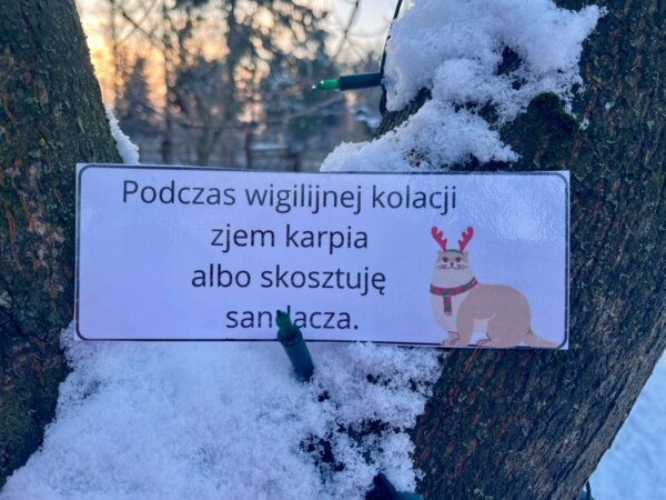 Zdania złożone współrzędnie - przykłady świąteczne - Boże Narodzenie