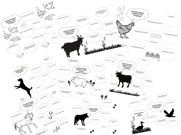 Zwięrzęce związki frazeologiczne i przysłowia: karty pracy