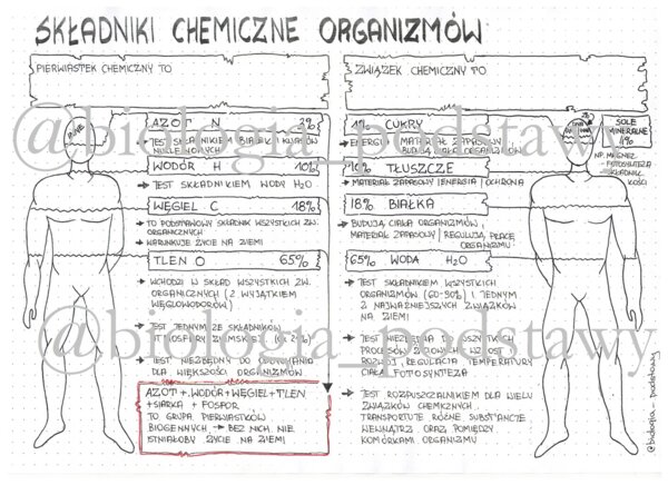 Klasa 5 - Składniki chemiczne organizmów - sketchnotka