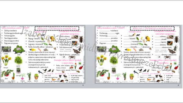 Sketchnotka i karta pracy „Rośliny i zwierzęta wokół nas” - w pdf. Przyroda klasa 4, dział III „Poznajemy świat organizmów”